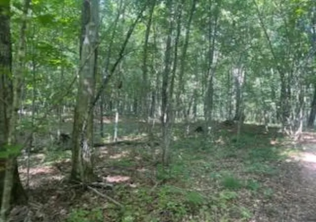 Land for sale at Tbd Whitewater Rd, Emily, MN 56447 | MLS# 7141767