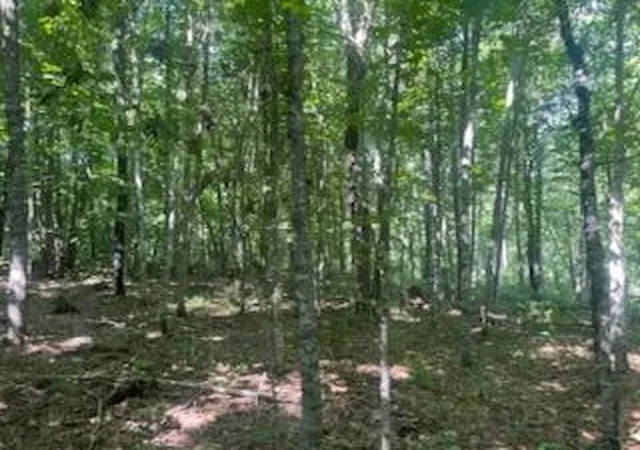 Photo 3 of Land for sale at Tbd Whitewater Rd, Emily, MN 56447 | MLS# 7141767 | Listing updated on 2026-09-16