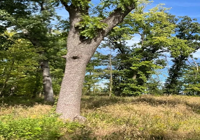 Photo 1 of Land for sale at Tbd Twin Blf Ln S, Stockholm, WI 54769 | MLS# 7142096 | Listing updated on 2026-10-05