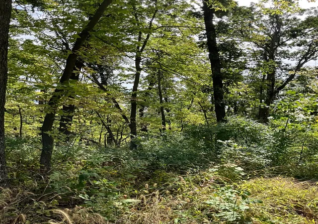 Photo 2 of Land for sale at Tbd Twin Blf Ln S, Stockholm, WI 54769 | MLS# 7142096 | Listing updated on 2026-10-05