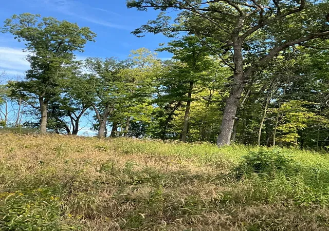 Photo 3 of Land for sale at Tbd Twin Blf Ln S, Stockholm, WI 54769 | MLS# 7142096 | Listing updated on 2026-10-05