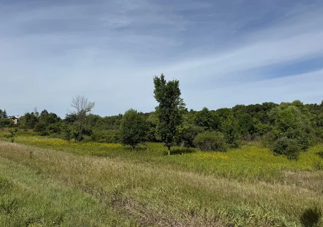 Photo 3 of Land for sale at 237 State Hwy 55, Kimball, MN 55353 | MLS# 7142350 | Listing updated on 2026-09-22