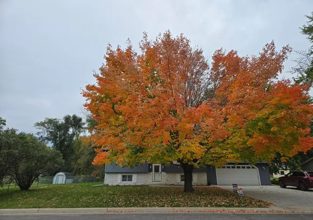 Photo 2 of Single family home for sale at 880 5th Street N, Dassel, MN 55325 | MLS# 7142415 | Listing updated on 2026-10-17