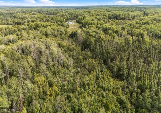 Photo 3 of Land for sale at Tbd Koecher Rd, Kerrick, MN 55756 | MLS# 7142840 | Listing updated on 2026-09-28
