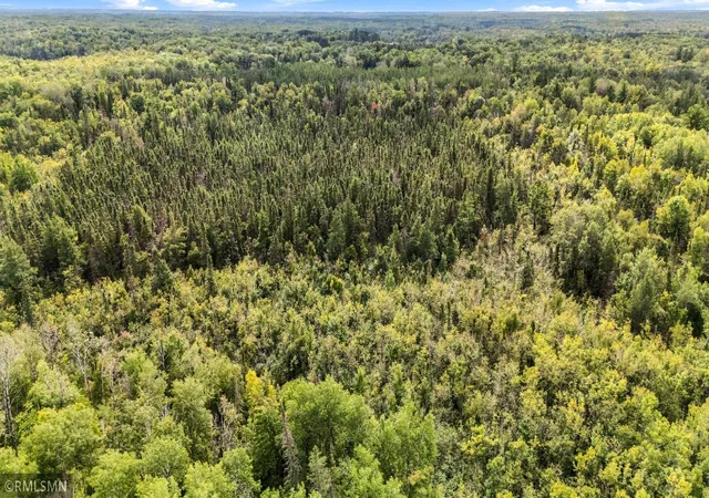 Photo 3 of Land for sale at Tbd Koecher Rd, Kerrick, MN 55756 | MLS# 7142840 | Listing updated on 2026-09-28