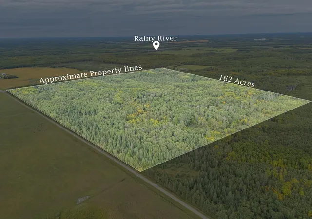 Photo 1 of Land for sale at 9918 Mn 11, Birchdale, MN 56629 | MLS# 7142957 | Listing updated on 2026-09-12