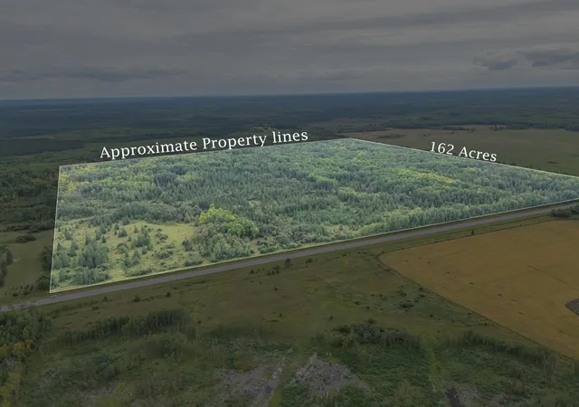 Photo 2 of Land for sale at 9918 Mn 11, Birchdale, MN 56629 | MLS# 7142957 | Listing updated on 2026-09-12