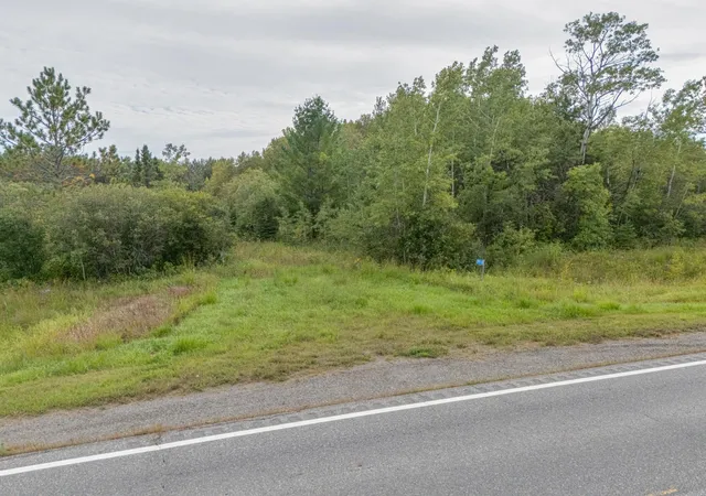Photo 3 of Land for sale at 9918 Mn 11, Birchdale, MN 56629 | MLS# 7142957 | Listing updated on 2026-09-12