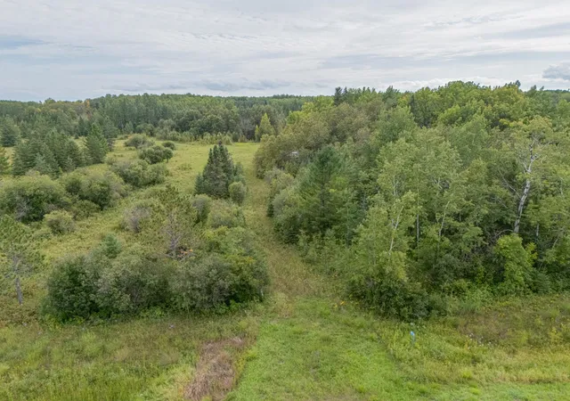 Photo 3 of Land for sale at 9918 Mn 11, Birchdale, MN 56629 | MLS# 7142957 | Listing updated on 2026-09-12