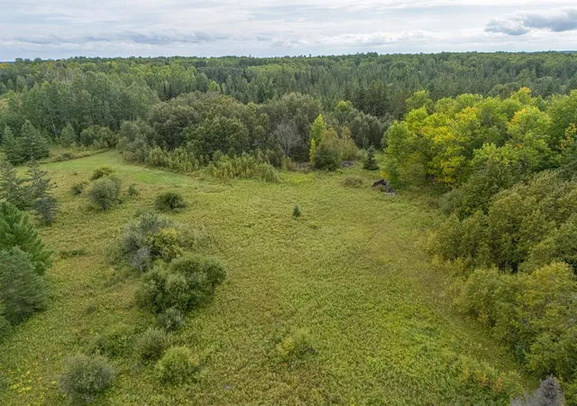 Photo 4 of Land for sale at 9918 Mn 11, Birchdale, MN 56629 | MLS# 7142957 | Listing updated on 2026-09-12