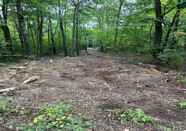 Land for sale at 000 Maple Tree Ln, Pine City, MN 55063 | MLS# 7143461