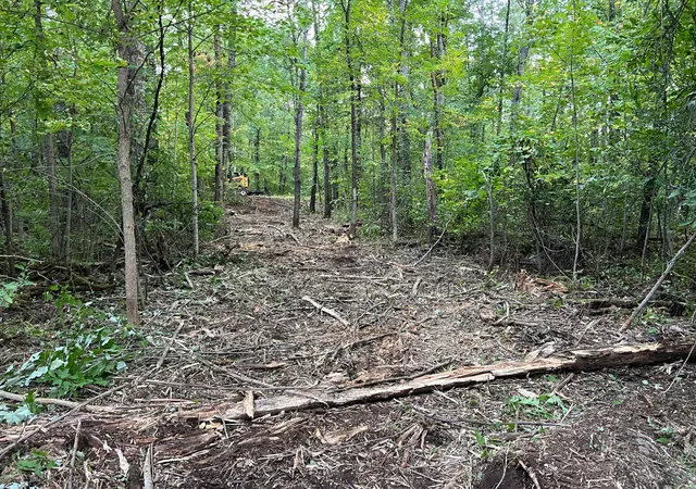 Photo 2 of Land for sale at 000 Maple Tree Ln, Pine City, MN 55063 | MLS# 7143461 | Listing updated on 2026-09-25