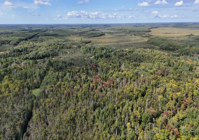 Photo 3 of Land for sale at Tbd Salo Rd, Cromwell, MN 55726 | MLS# 7143707 | Listing updated on 2026-09-30