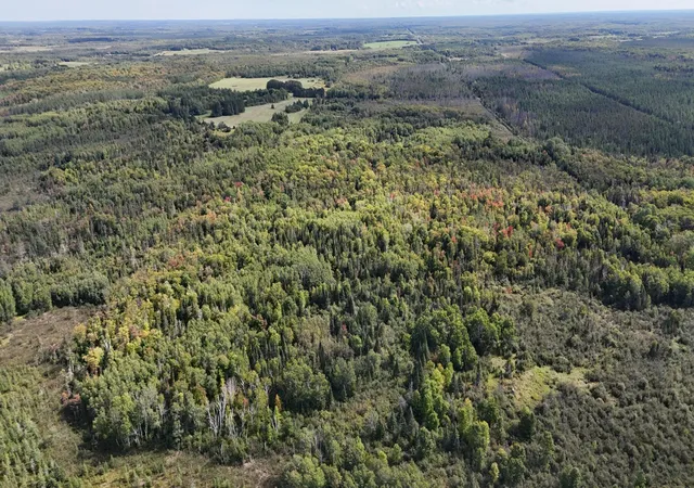 Photo 4 of Land for sale at Tbd Salo Rd, Cromwell, MN 55726 | MLS# 7143707 | Listing updated on 2026-09-30