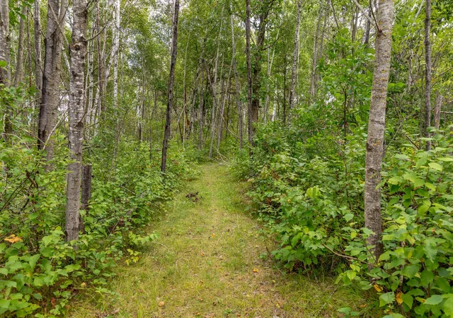 Photo 3 of Single family home for sale at 22233 Wilderness Dr, Verndale, MN 56481 | MLS# 7143809 | Listing updated on 2026-09-15