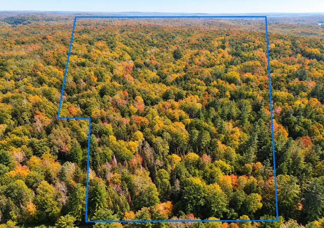 Photo 3 of Sale Pending at Lot 4 Smith Rd, Couderay, WI 54828 | MLS# 7143815 | Listing updated on 2026-10-06