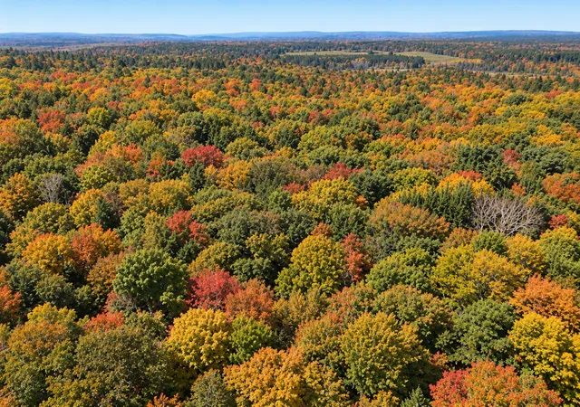 Photo 4 of Sale Pending at Lot 4 Smith Rd, Couderay, WI 54828 | MLS# 7143815 | Listing updated on 2026-10-06