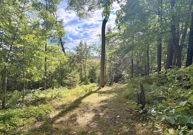 Photo 4 of Land for sale at Tbd Lantern Ln, Hackensack, MN 56452 | MLS# 7143926 | Listing updated on 2026-09-22