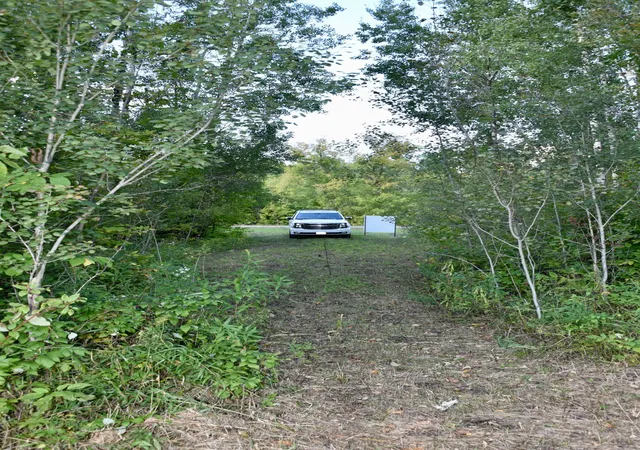 Photo 2 of Land for sale at Tbd 480th/cty Rd 3 St, Palisade, MN 56469 | MLS# 7144036 | Listing updated on 2026-09-15