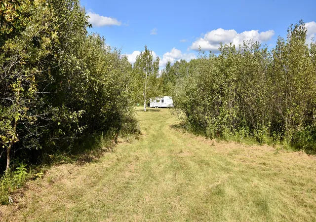 Photo 3 of Land for sale at Tbd 480th/cty Rd 3 St, Palisade, MN 56469 | MLS# 7144036 | Listing updated on 2026-10-09