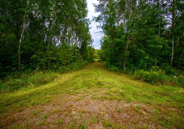 Photo 3 of Land for sale at Tbd 480th/cty Rd 3 St, Palisade, MN 56469 | MLS# 7144036 | Listing updated on 2026-09-15