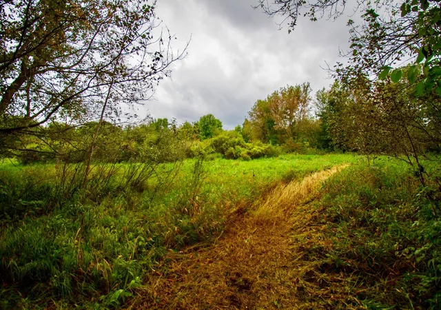 Photo 3 of Land for sale at Tbd 480th/cty Rd 3 St, Palisade, MN 56469 | MLS# 7144036 | Listing updated on 2026-09-15