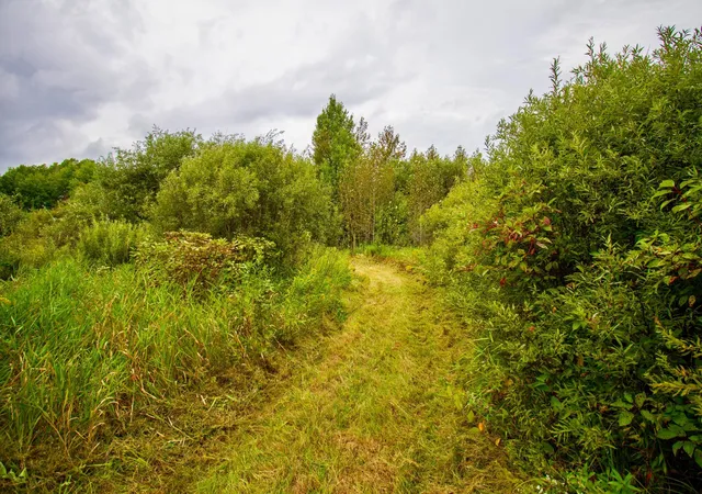 Photo 4 of Land for sale at Tbd 480th/cty Rd 3 St, Palisade, MN 56469 | MLS# 7144036 | Listing updated on 2026-09-15