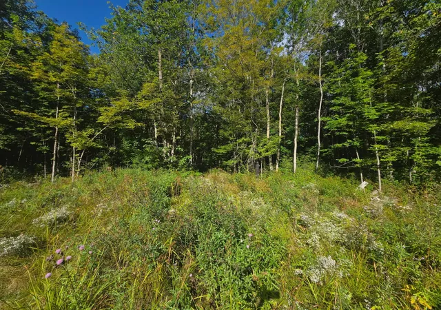Photo 2 of Land for sale at 3329 Reuben Johnson Rd, Kettle River, MN 55757 | MLS# 7144469 | Listing updated on 2026-09-18