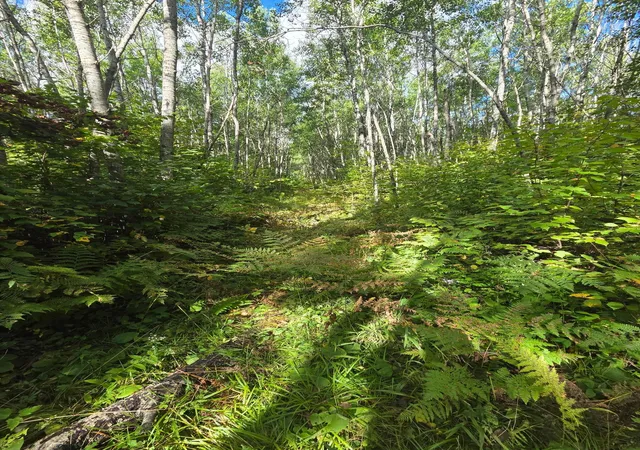 Photo 3 of Land for sale at 3329 Reuben Johnson Rd, Kettle River, MN 55757 | MLS# 7144469 | Listing updated on 2026-09-18