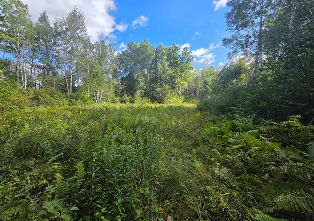 Photo 3 of Land for sale at 3329 Reuben Johnson Rd, Kettle River, MN 55757 | MLS# 7144469 | Listing updated on 2026-09-18