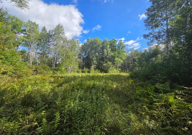 Photo 4 of Land for sale at 3329 Reuben Johnson Rd, Kettle River, MN 55757 | MLS# 7144469 | Listing updated on 2026-09-18