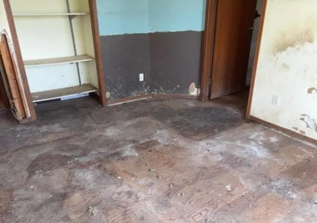 Photo 3 of Single family home for sale at 14210 Leisure Ln, Lake Park, MN 56554 | MLS# 7144569 | Listing updated on 2026-09-16