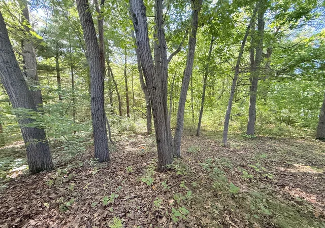 Photo 3 of Land for sale at Tbd 120th Street, Zimmerman, MN 55398 | MLS# 7144687 | Listing updated on 2026-09-25