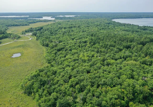 Photo 3 of Single family home for sale at 4452 Boone Point Rd Nw, Hackensack, MN 56452 | MLS# 7145353 | Listing updated on 2026-09-17