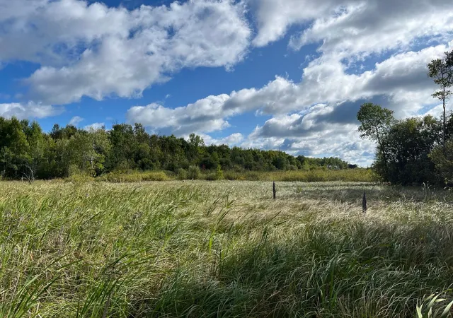 Photo 3 of Land for sale at Tbd County Rd 30, Big Falls, MN 56627 | MLS# 7145520 | Listing updated on 2026-09-28