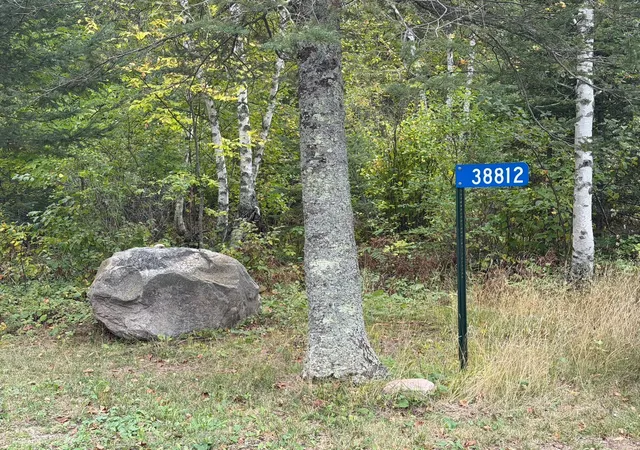 Photo 4 of Land for sale at 38812 Outback Dr, Laporte, MN 56461 | MLS# 7145738 | Listing updated on 2026-09-21