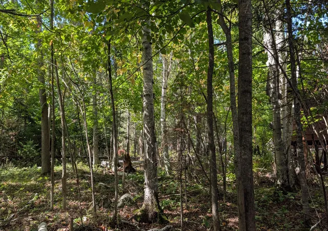 Photo 3 of Land for sale at Lot A Everett Bay Rd, Tower, MN 55790 | MLS# 7145750 | Listing updated on 2026-09-17