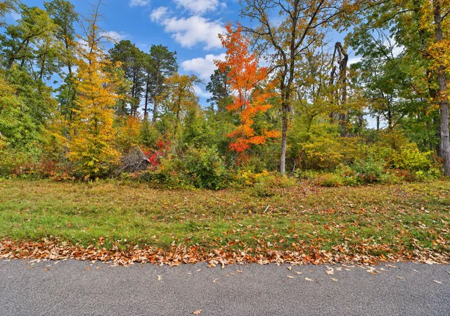 Photo 2 of Land for sale at Tbd Timber Ln, Pequot Lakes, MN 56472 | MLS# 7146209 | Listing updated on 2026-10-07