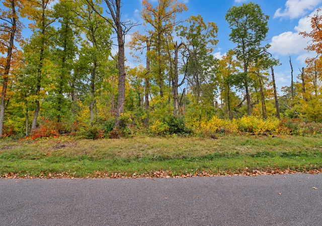 Photo 3 of Land for sale at Tbd Timber Ln, Pequot Lakes, MN 56472 | MLS# 7146209 | Listing updated on 2026-10-07
