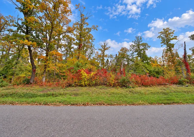 Photo 4 of Land for sale at Tbd Timber Ln, Pequot Lakes, MN 56472 | MLS# 7146209 | Listing updated on 2026-10-07