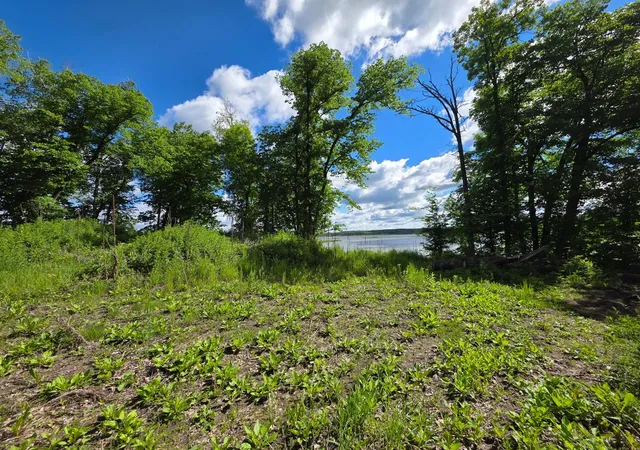 Photo 2 of Land for sale at Tbd Street Hwy 113, Waubun, MN 56589 | MLS# 7146285 | Listing updated on 2026-09-22