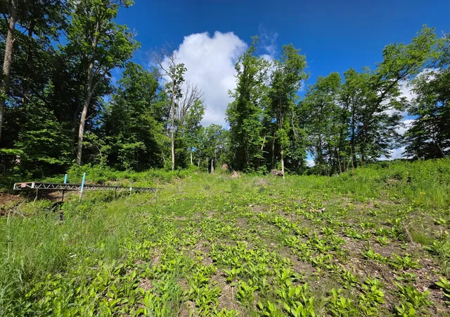 Photo 3 of Land for sale at Tbd Street Hwy 113, Waubun, MN 56589 | MLS# 7146285 | Listing updated on 2026-09-22