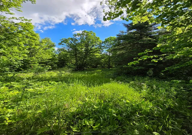Photo 3 of Land for sale at Tbd Street Hwy 113, Waubun, MN 56589 | MLS# 7146285 | Listing updated on 2026-09-22