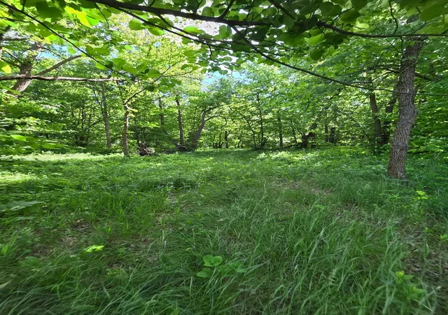 Photo 4 of Land for sale at Tbd Street Hwy 113, Waubun, MN 56589 | MLS# 7146285 | Listing updated on 2026-09-22