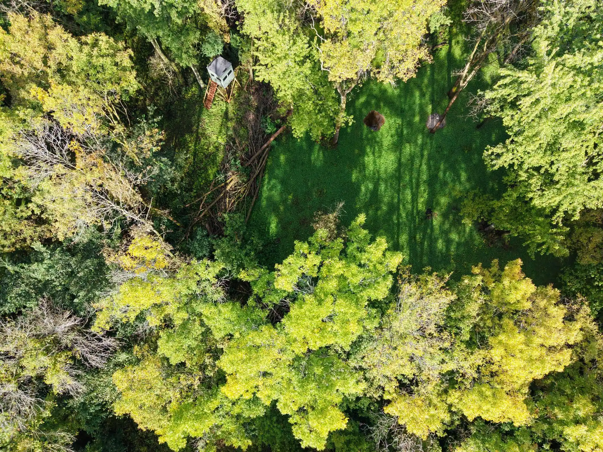 Photo 3 of Land for sale at 0000 17th Street, Clear Lake, MN 55319 | MLS# 7146558 | Listing updated on 2026-10-07