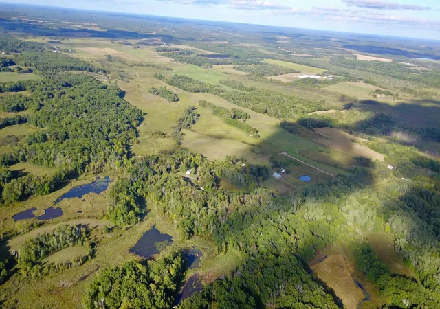 Photo 1 of Land for sale at Tbd 325th Avenue, Long Prairie, MN 56347 | MLS# 7146671 | Listing updated on 2026-10-05