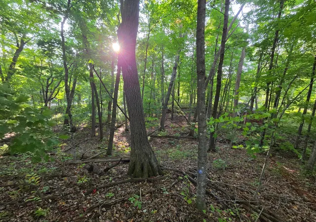 Land for sale at Tbd Deer Trl, Garrison, MN 56450 | MLS# 7146716