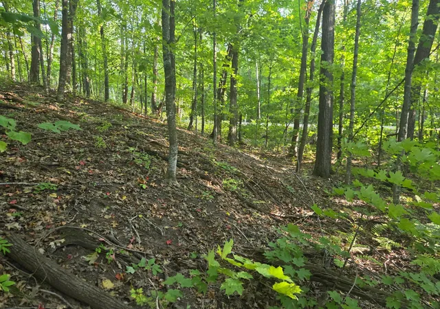 Photo 3 of Land for sale at Tbd Deer Trl, Garrison, MN 56450 | MLS# 7146716 | Listing updated on 2026-09-19