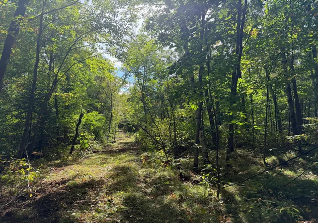 Photo 1 of Land for sale at Tbd Sand Crk Rd, Bruno, MN 55712 | MLS# 7146856 | Listing updated on 2026-09-24
