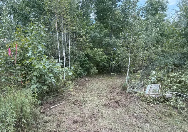 Photo 2 of Land for sale at Tbd Sand Crk Rd, Bruno, MN 55712 | MLS# 7146856 | Listing updated on 2026-09-24